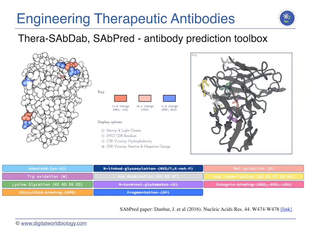 Engineering Therapeutic Antibodies