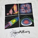 nanoHUB.org Tool T-shirt (white)