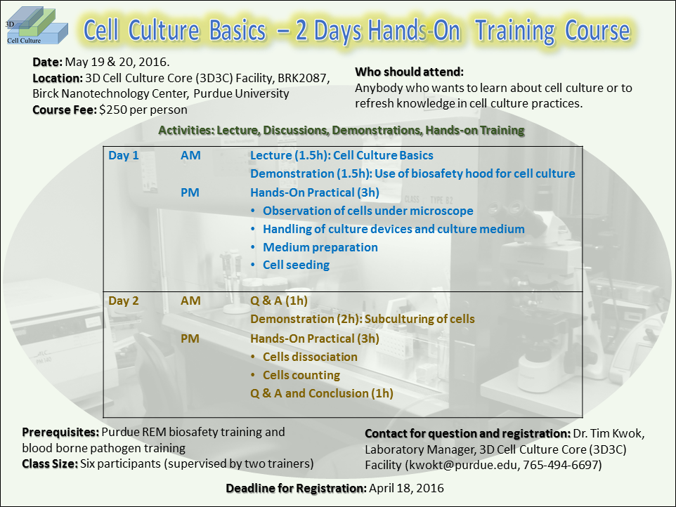 cell culture training
